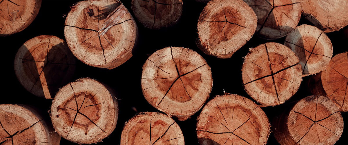 verfrommeld Kwade trouw Uitgang De prijs van hout stijgt wereldwijd naar recordhoogten - Blog